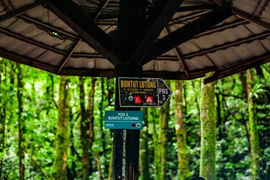 Jalur Pendakian Gunung Gede Alera Adventure (SC IG gikihdb) (3)