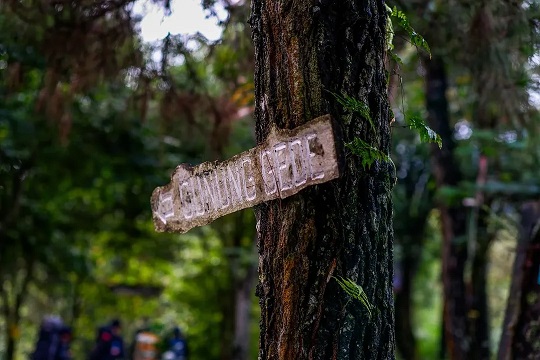 Jalur Pendakian Gunung Gede Alera Adventure (SC IG gikihdb)