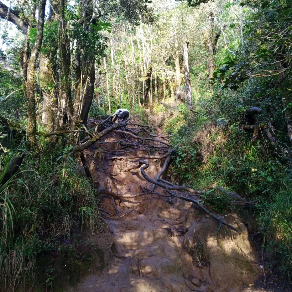 Biaya Mendaki Gunung Cikuray Alera Adventure (SC IG adityayuki_)