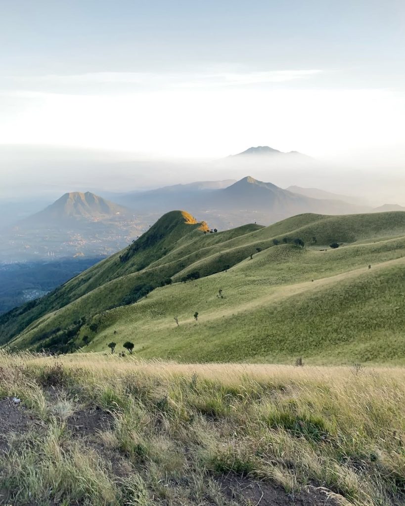 Wisata Gunung dengan Jalur Terindah Alera Adventure (SC IG _gunturmllr) (3)
