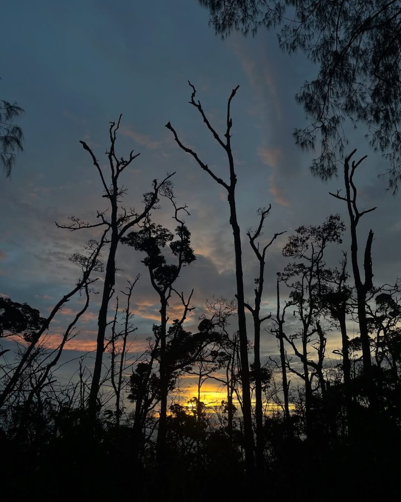 Sunrise di puncak gunung arjuno Alera Adventure (SC IG rungs_) (2)