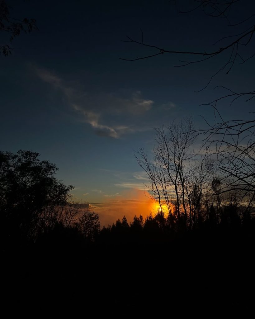 Sunrise di puncak gunung arjuno Alera Adventure (SC IG rungs_) (3)