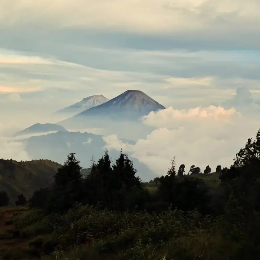 Mendaki Gunung Dengan Anak Anak Alera Adventure (SC IG ariya_saputra522)