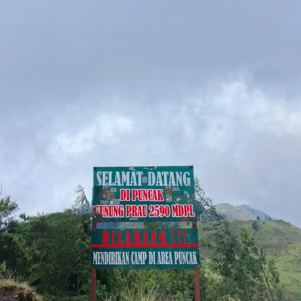Mendaki Gunung Dengan Anak Anak Alera Adventure (SC IG ariya_saputra522) (2)