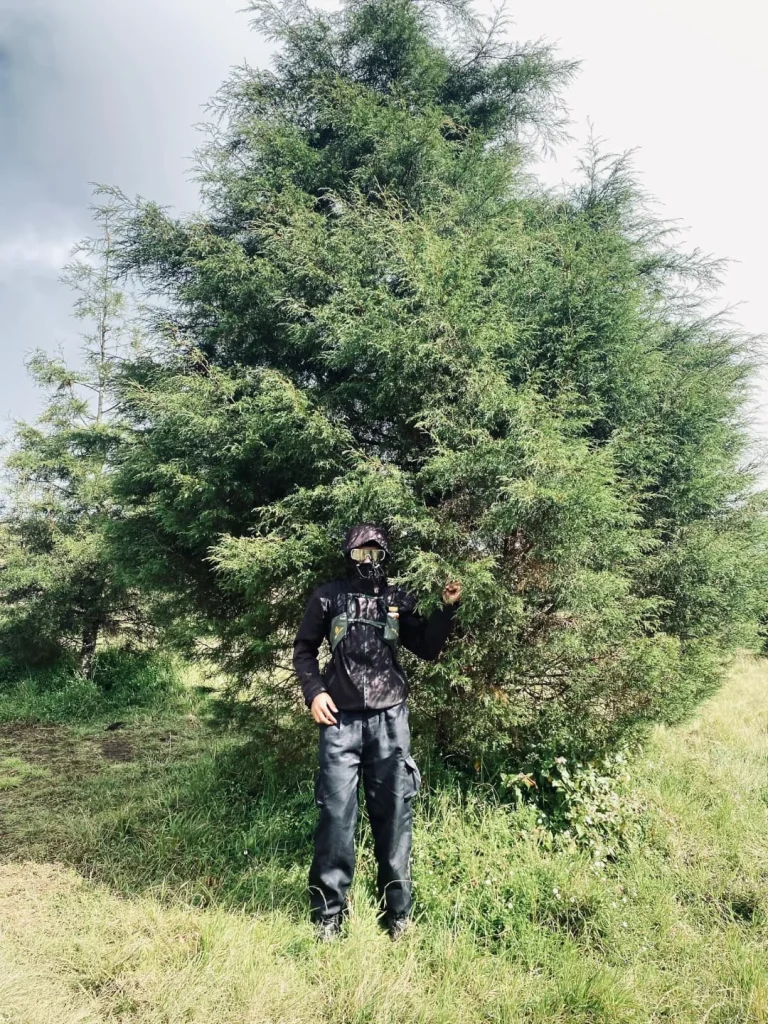 Mendaki Gunung Dengan Rute Tercepat Alera Adventure ( SC IG rikoardyansh) (2)