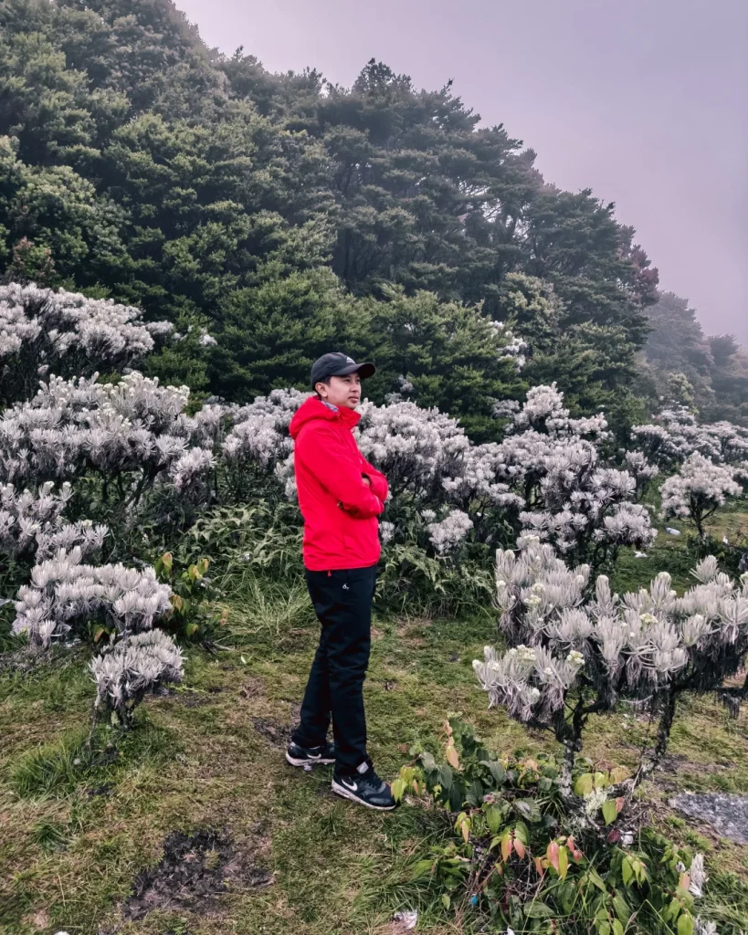 Spot Foto Terbaik di Gunung Gede Alera Adventure (Sc IG ponconugroho148) (3)