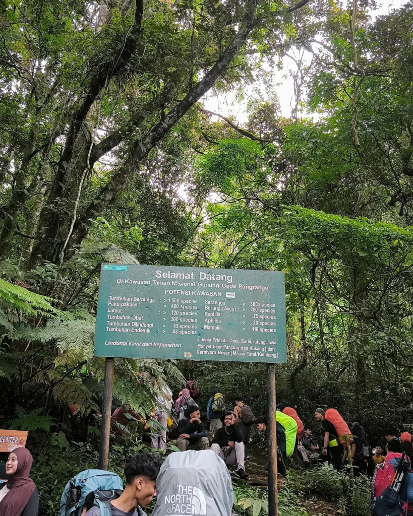 Spot Foto Terbaik di Gunung Pangrango Alera Adventure (SC IG asriinur_)