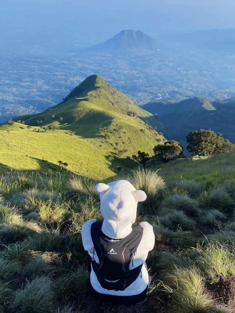Wisata Gunung Dengan Sunrise Terindah Alera Adventure (SC IG lysaindrianii) (3)