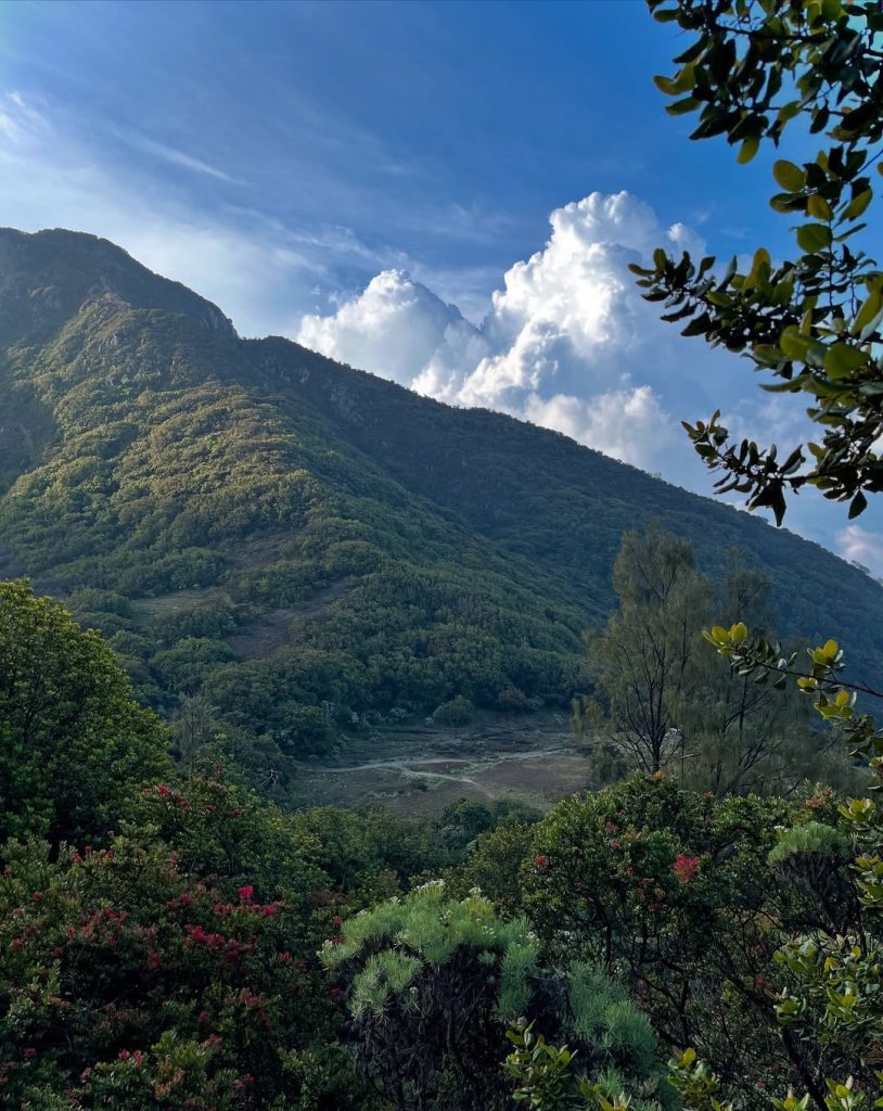 Kelebihan Open Trip Gunung Alera Adventure (SC IG azammaulana605)