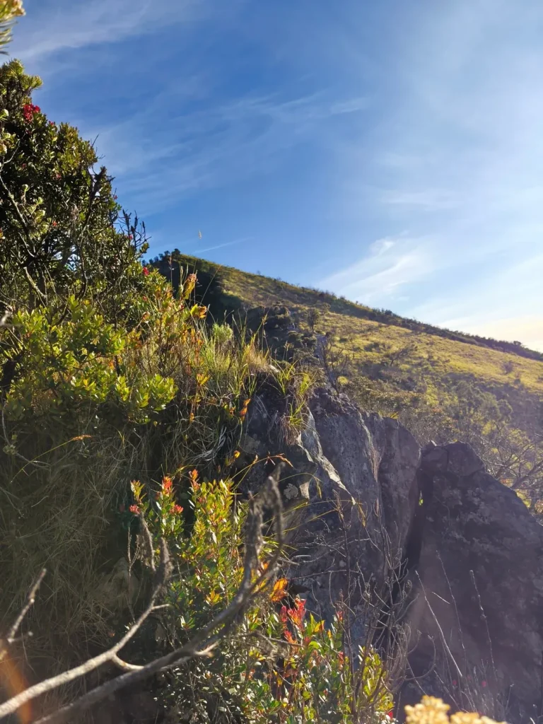 Mendaki Gunung di Musim Kemarau Alera Adventure SC IG (inop.d_) (3)