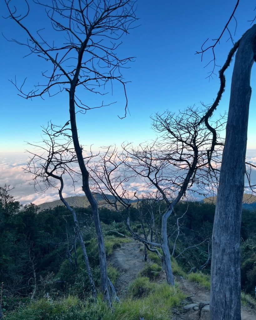 Mitos dan Fakta Tentang Gunung Ciremai Alera Adventure (SC IG adambadrusss)