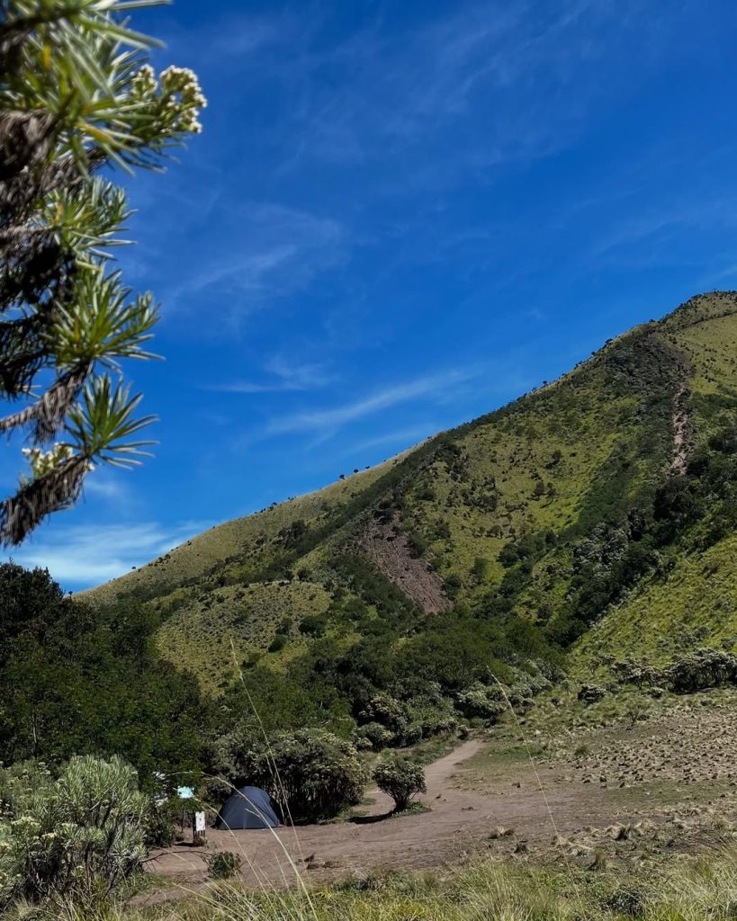 Rekomendasi Gunung Terbaik Untuk Solo Hiking Alera Adventure (SC IG nakomiii_)