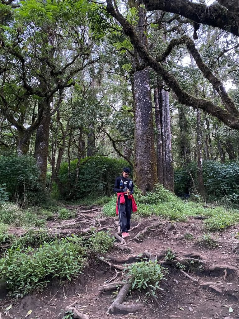 Sejarah Gunung Ciremai Alera Adventure (SC IG chiiffuyu_)