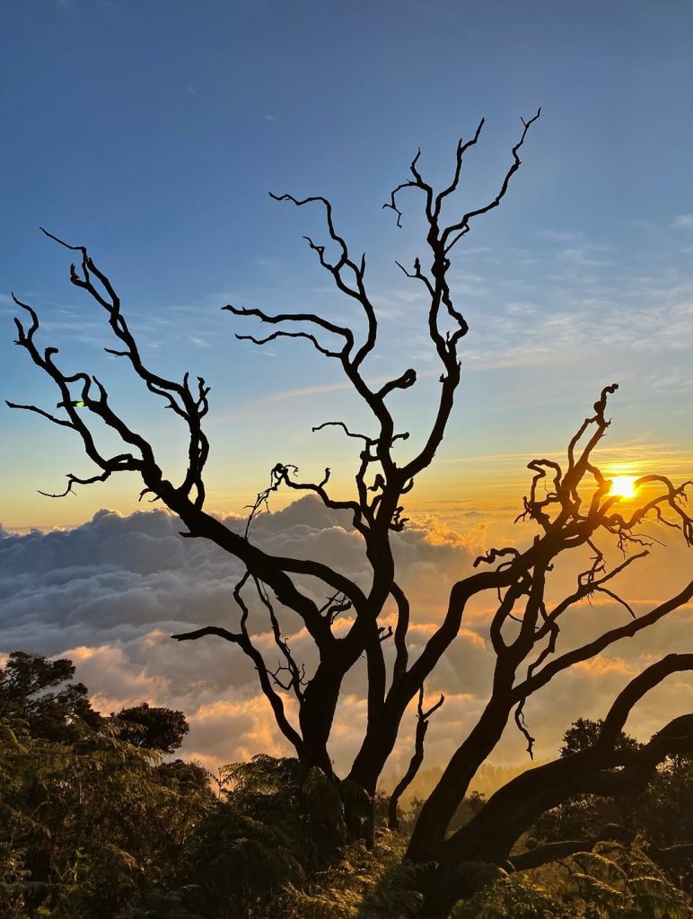 Mitos dan Fakta Tentang Gunung Arjuno Alera Adventure (SC IG itsmerindi) (2)