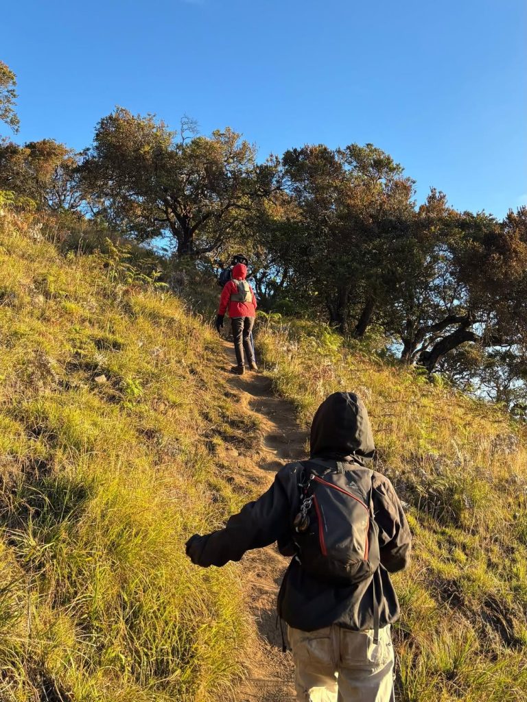 Mitos dan Fakta Tentang Gunung Welirang Alera Adventure (SC IG itsmerindi)