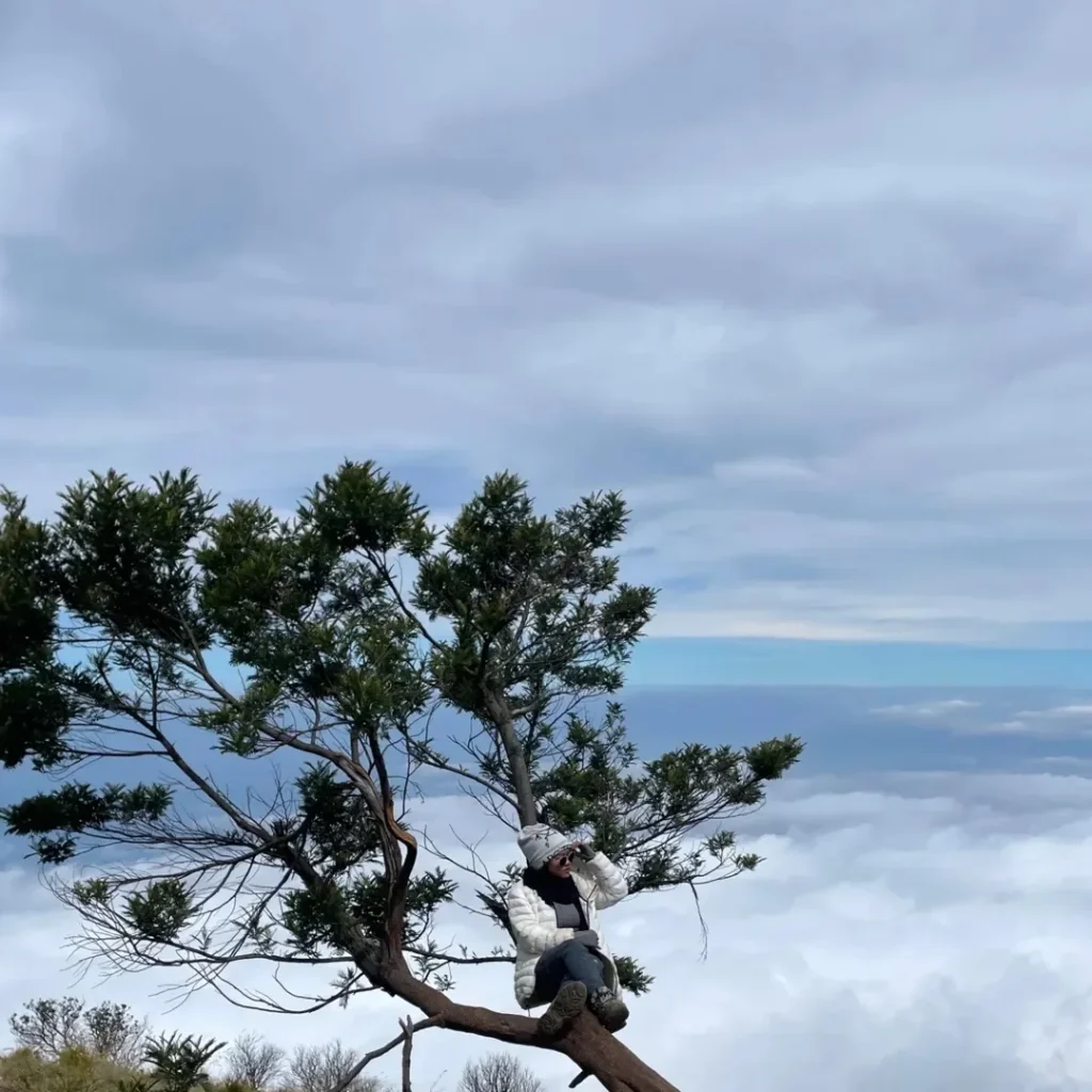 Itinerary Pendakian GUnung Lawu (SC IG purple_0to0)