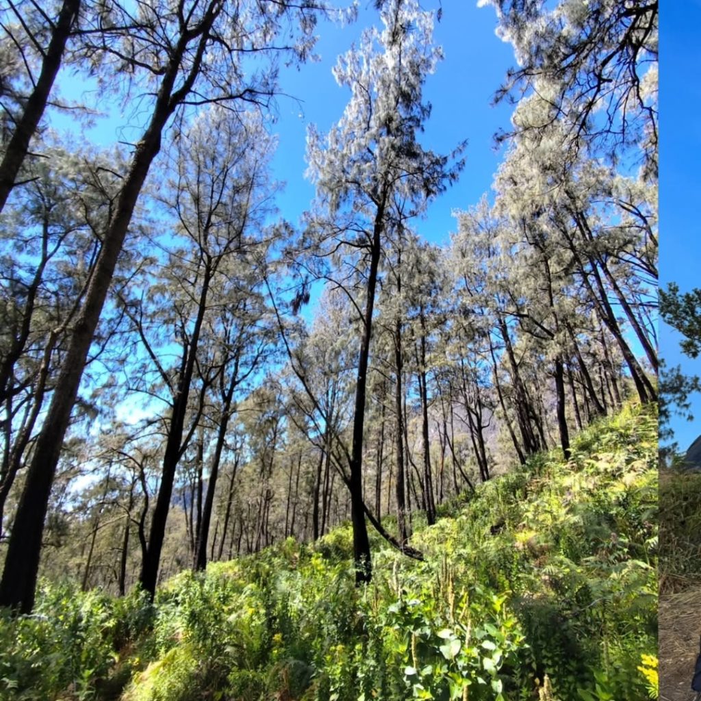 Itinerary Pendakian Gunung Welirang (SC IG calisco.mf)