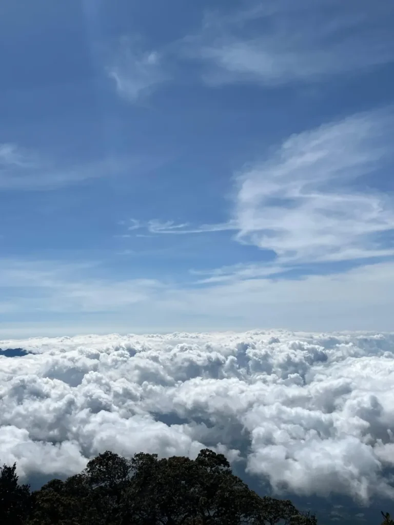 Itinerary Pendakian Gunung Cikuray Via Kiara Janggot (SC IG mhmaadandriii._)