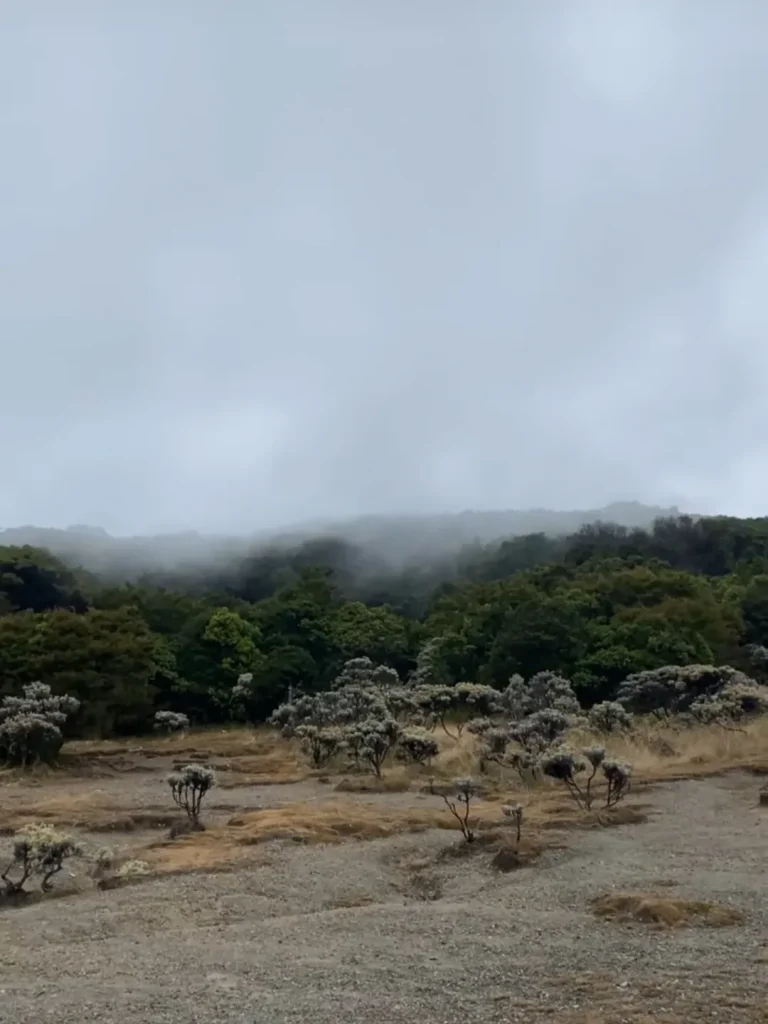 Itinerary Pendakian Gunung Gede Via Gunung Putri (SC IG rohimmaul_)