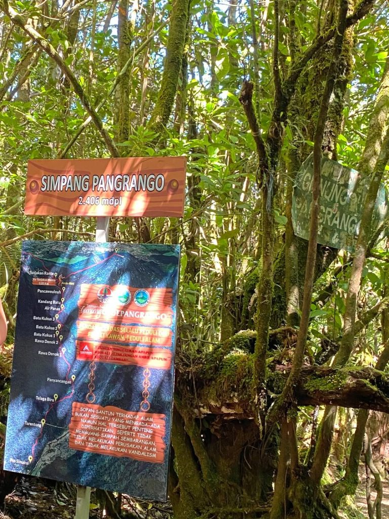 Itinerary Pendakian Gunung Pangrango Alera Adventure (SC IG disyanvraa)