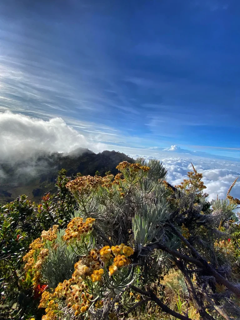 Itinerary Pendakian Gunung Sumbing Via Banaran(SC IG _mhesa.a)