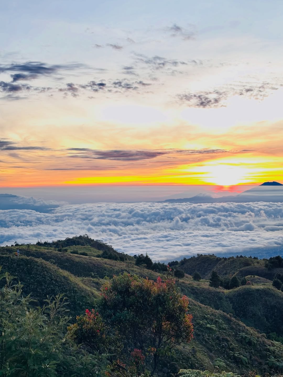 Paket Tektok Gunung Prau Alera Adventure (Sc Ig hfdzptria_)
