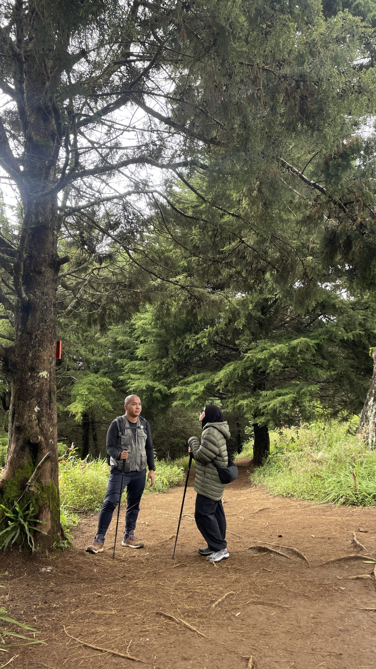 Guide Prau Via Dieng Sunrise Alera Adventure Sunrise menawan dari puncak Gunung Prau Via Dieng Alera Adventure