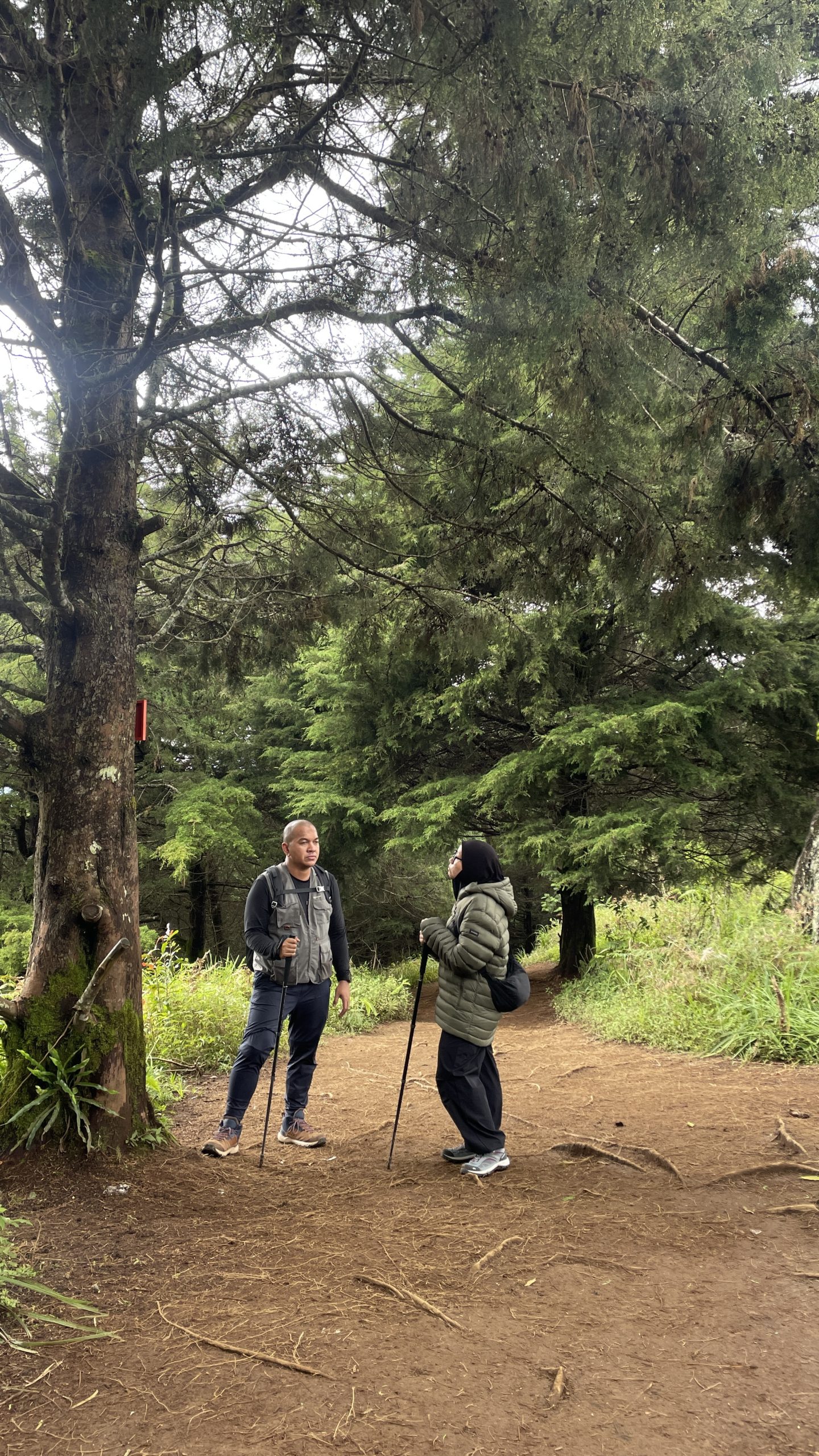 Porter Prau Via Wates Puncak Prau Sunrise Alera Adventure Porter Prau Via Wates sunrise di puncak Alera Adventure