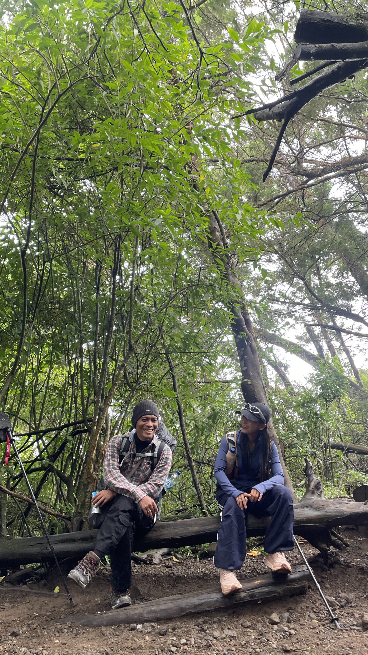 Sarapan Mewah Puncak Sindoro Alera Adventure Pendaki menikmati sarapan Paket Makan Puncak Sindoro Alera Adventure di tenda dengan pemandangan sunrise.