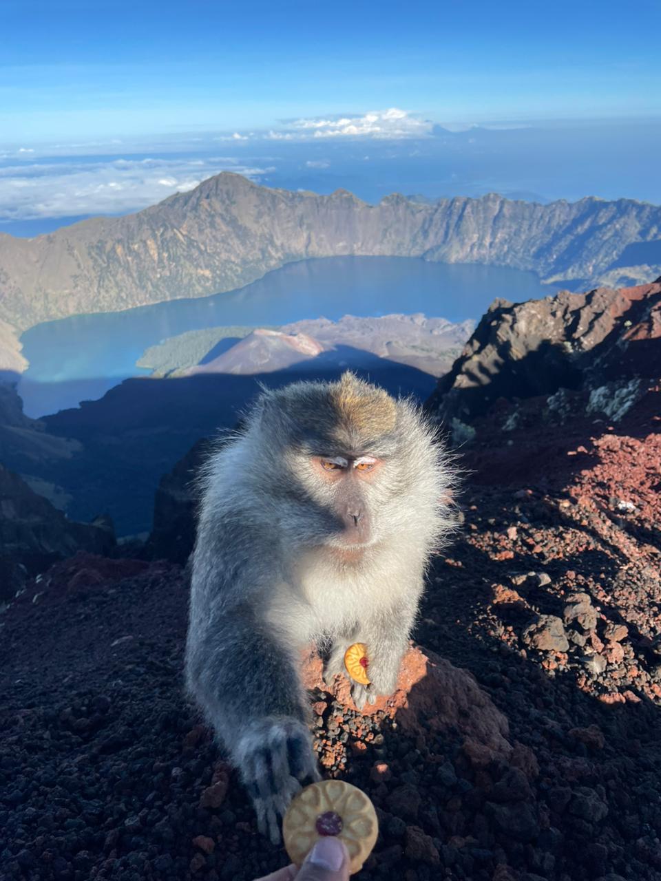 Pemandangan Spektakuler Porter Rinjani Via Torean Alera Adventure Porter Rinjani Via Torean pemandangan indah Alera Adventure