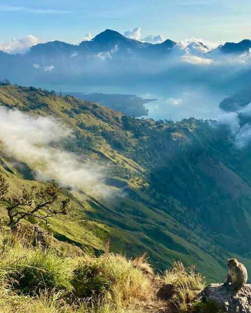 Paket Porter Rinjani Profesional Alera Adventure Judul: paket-porter-rinjani-profesional-alera-adventure Keterangan: Senyuman manis porter Rinjani Alera Adventure yang siap menyelamatkan tulang belakangmu dari ancaman encok stadium akhir! Deskripsi: Foto dokumentasi Paket Porter Rinjani Profesional Alera Adventure sedang mempersiapkan perlengkapan pendakian dengan standar kenyamanan tinggi.