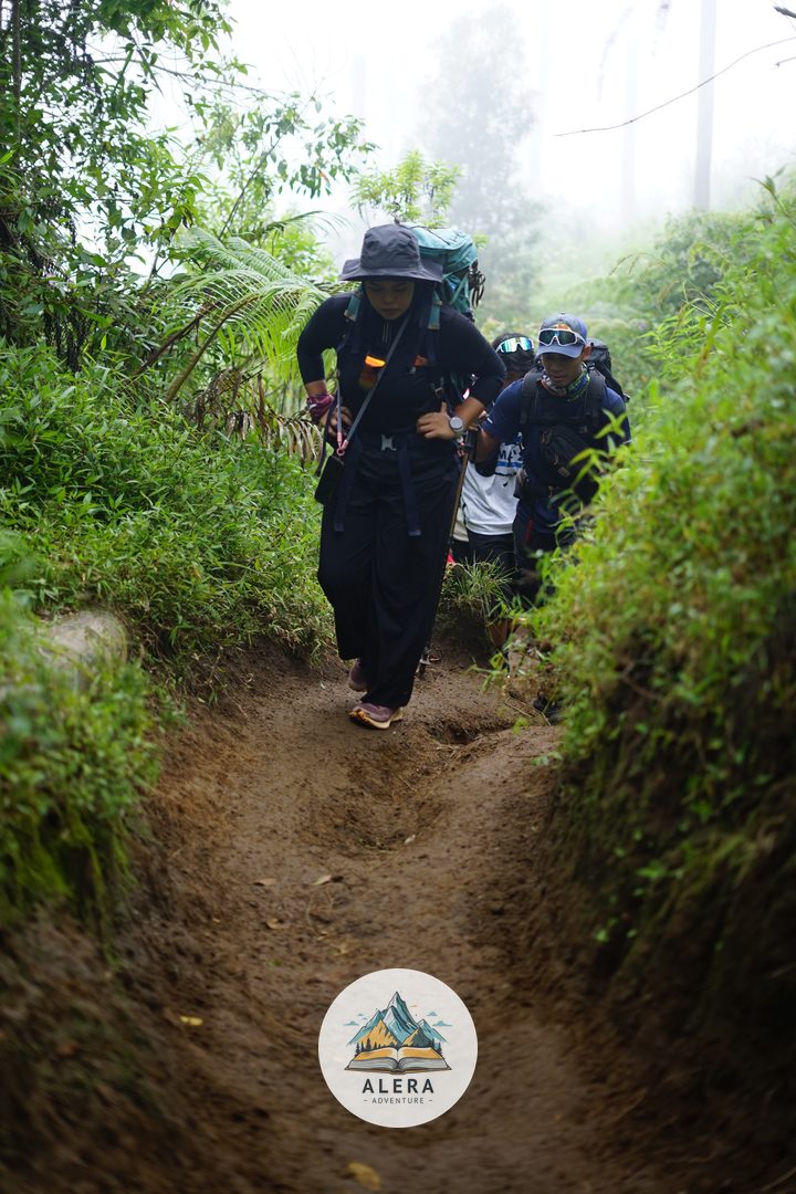 Persiapan Fisik Pendakian Persiapan Fisik Tektok Merbabu - Alera Adventure