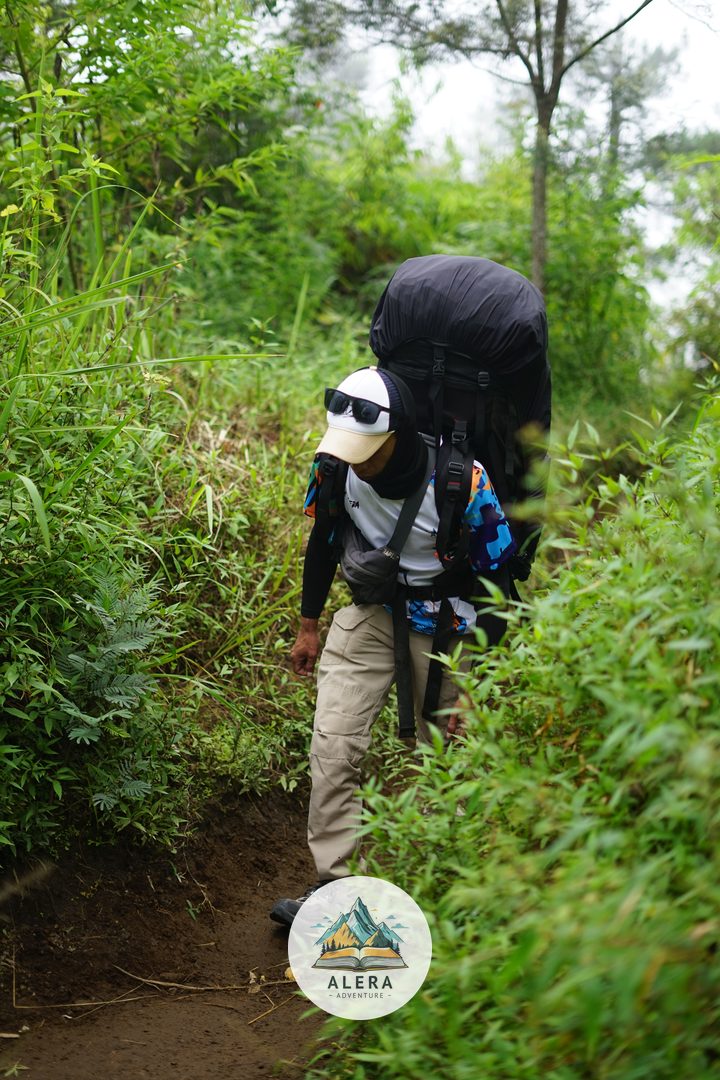 Tektok Gunung Merbabu Via Suwanting Tektok Gunung Merbabu Via Suwanting - Alera Adventure