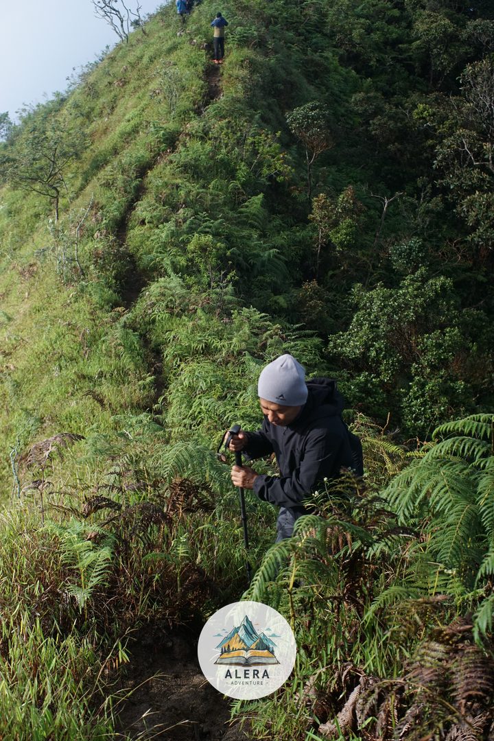 Tektok Gunung Sumbing Via Kaliangkrik Tektok Gunung Sumbing Via Kaliangkrik - Alera Adventure