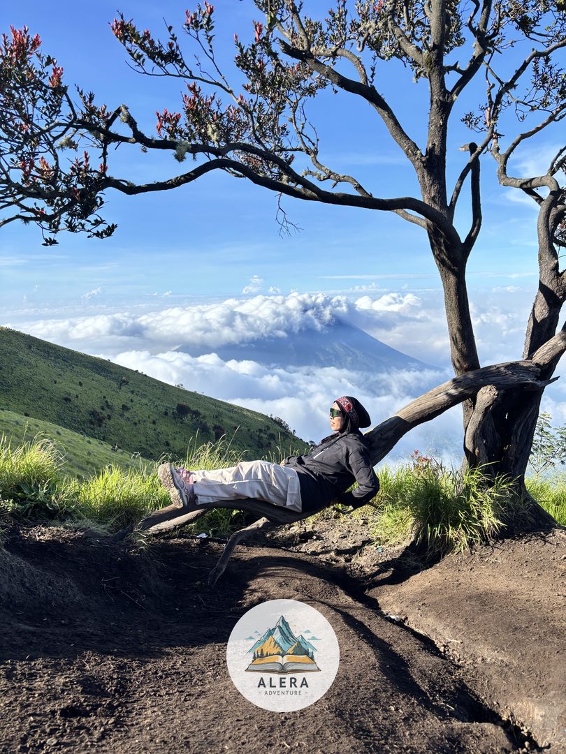 Tektok Gunung Sumbing Tektok Gunung Sumbing - Alera Adventure