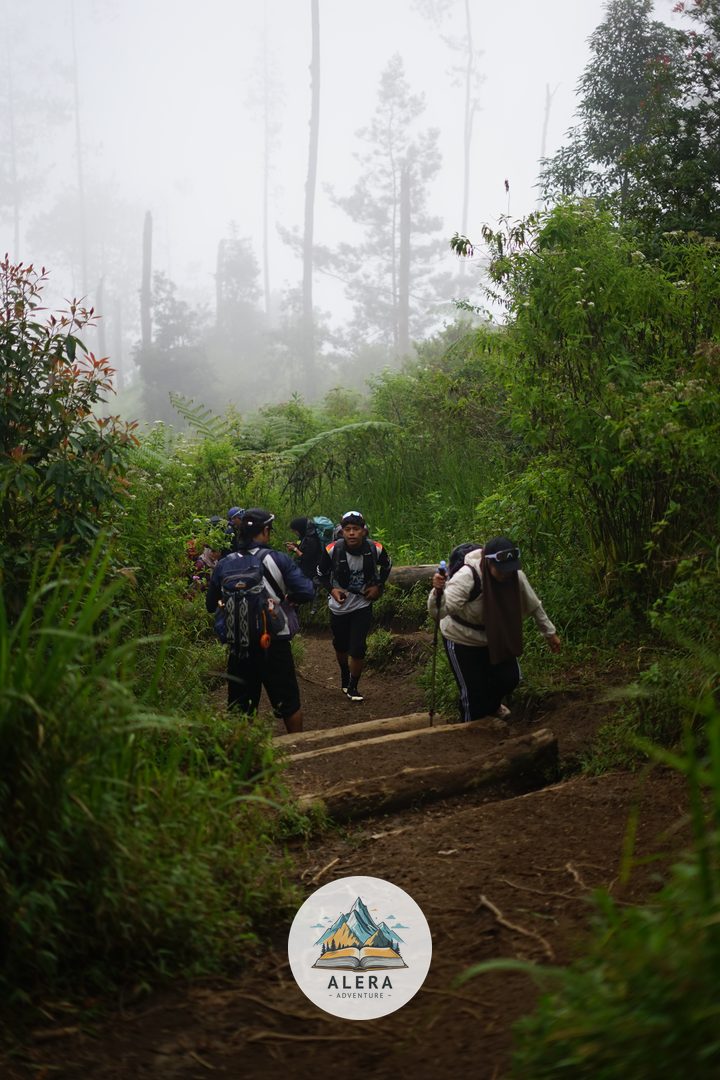 Persiapan Tektok Merbabu Persiapan Tektok Merbabu - Alera Adventure