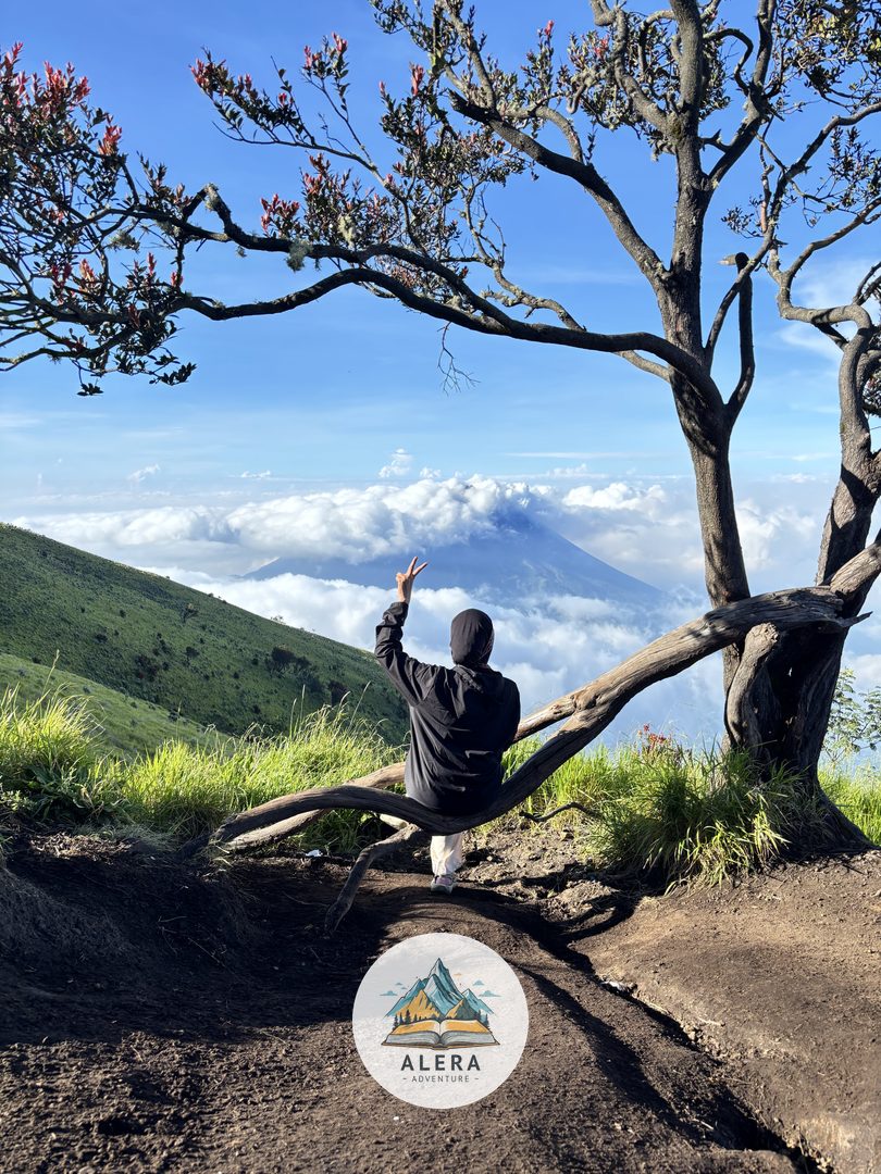 Tektok Gunung Sumbing Via Garung Tektok Gunung Sumbing Via Garung - Alera Adventure